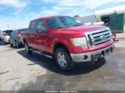 FORD F-150 2010