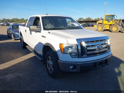 FORD F-150 2012