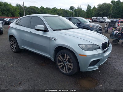 BMW X6 M 2010
