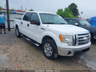 FORD F-150 2009