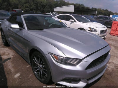MUSTANG MUSTANG 2017