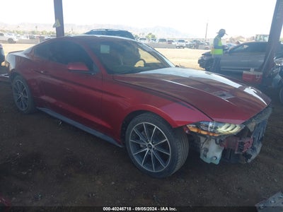 FORD MUSTANG 2019