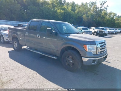 FORD F-150 2010