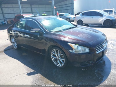 NISSAN MAXIMA 2010