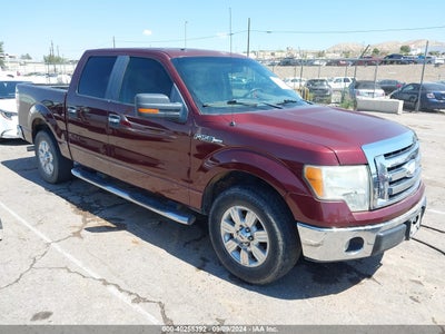 FORD F-150 2009
