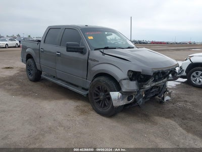 FORD F-150 2013