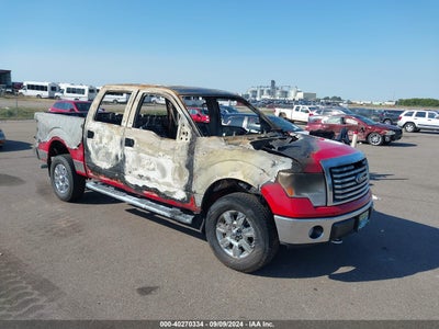 FORD F-150 2010
