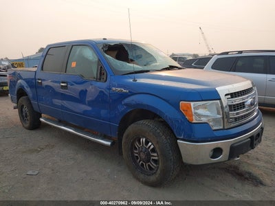 FORD F-150 2014
