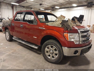 FORD F-150 2014