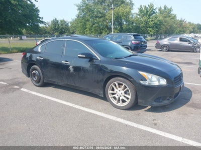 NISSAN MAXIMA 2011