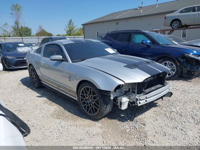 FORD SHELBY GT500 2014