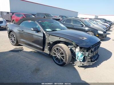 FORD MUSTANG 2019
