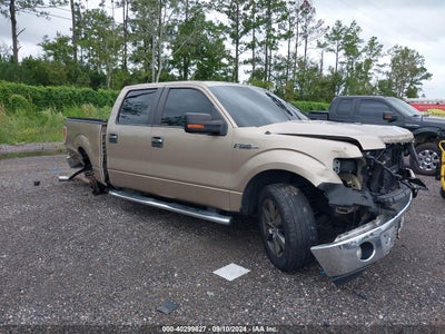 FORD F-150 2011