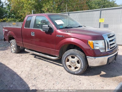 FORD F-150 2010