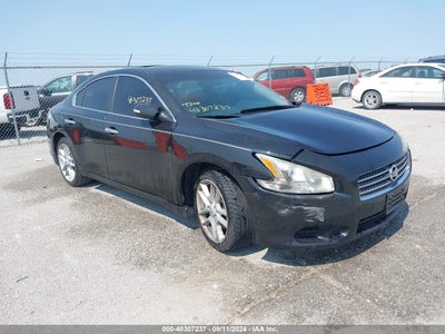 NISSAN MAXIMA 2010