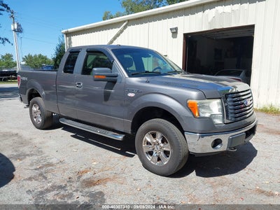 FORD F-150 2010