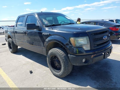 FORD F-150 2014