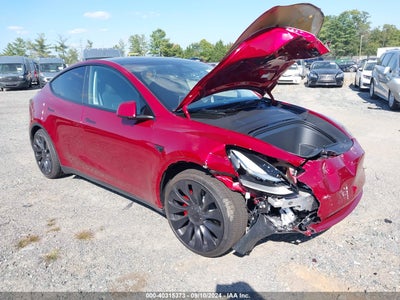 TESLA MODEL Y 2024