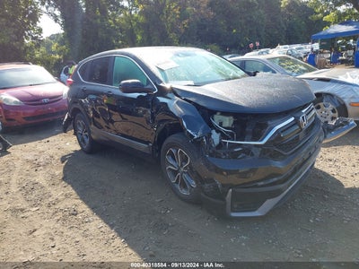 HONDA CR-V 2021
