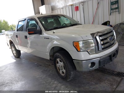 FORD F-150 2011