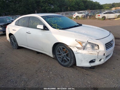 NISSAN MAXIMA 2010