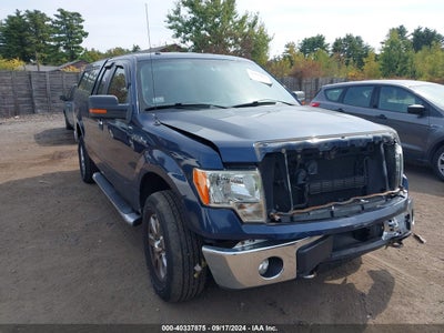 FORD F-150 2013