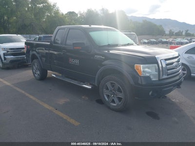 FORD F-150 2009