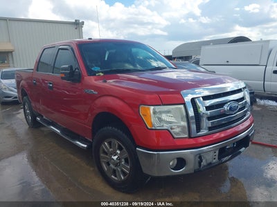 FORD F-150 2009