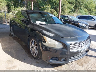 NISSAN MAXIMA 2010
