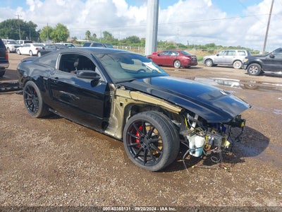 FORD SHELBY GT500 2010