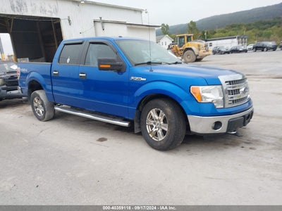 FORD F-150 2013