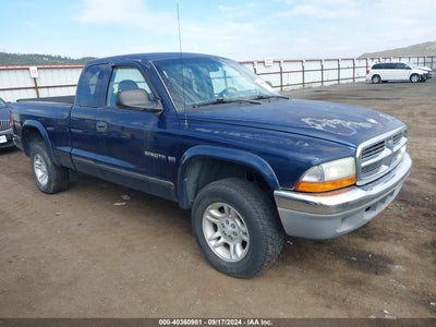 DODGE DAKOTA 2001