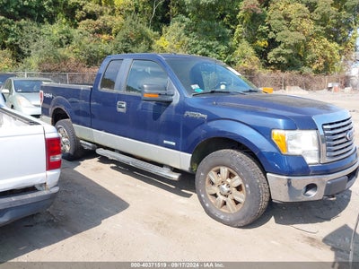 FORD F-150 2011
