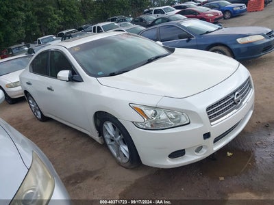 NISSAN MAXIMA 2010