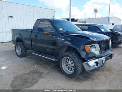 FORD F-150 2013