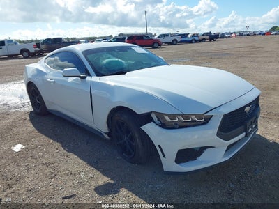 FORD MUSTANG 2024