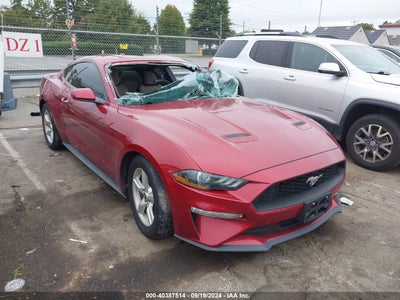 FORD MUSTANG 2019