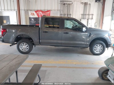 FORD F-150 2024