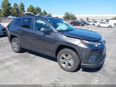 TOYOTA RAV4 HYBRID 2024