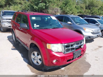 FORD ESCAPE 2010