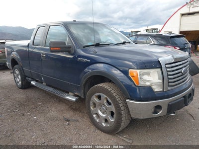 FORD F-150 2010