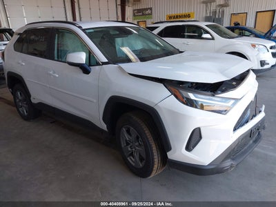 TOYOTA RAV4 HYBRID 2024