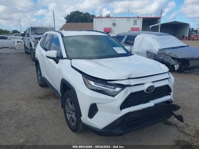 TOYOTA RAV4 HYBRID 2024