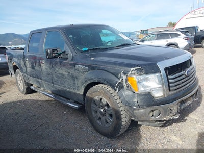 FORD F-150 2010