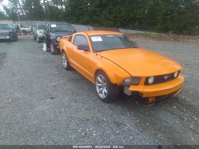 FORD MUSTANG 2007