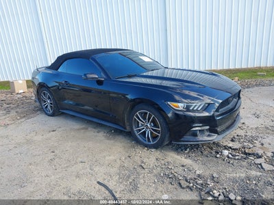 FORD MUSTANG 2017