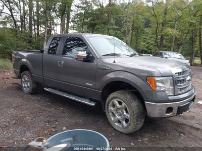 FORD F-150 2014