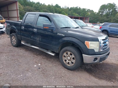 FORD F-150 2009