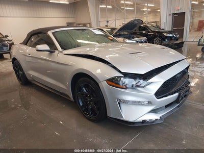 FORD MUSTANG 2019