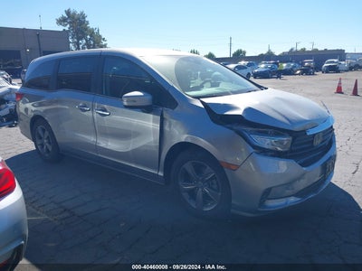 HONDA ODYSSEY 2022